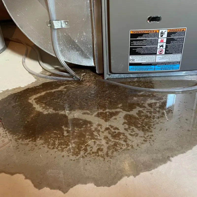 Pipe Burst and Leak Restoration in Hailey, ID